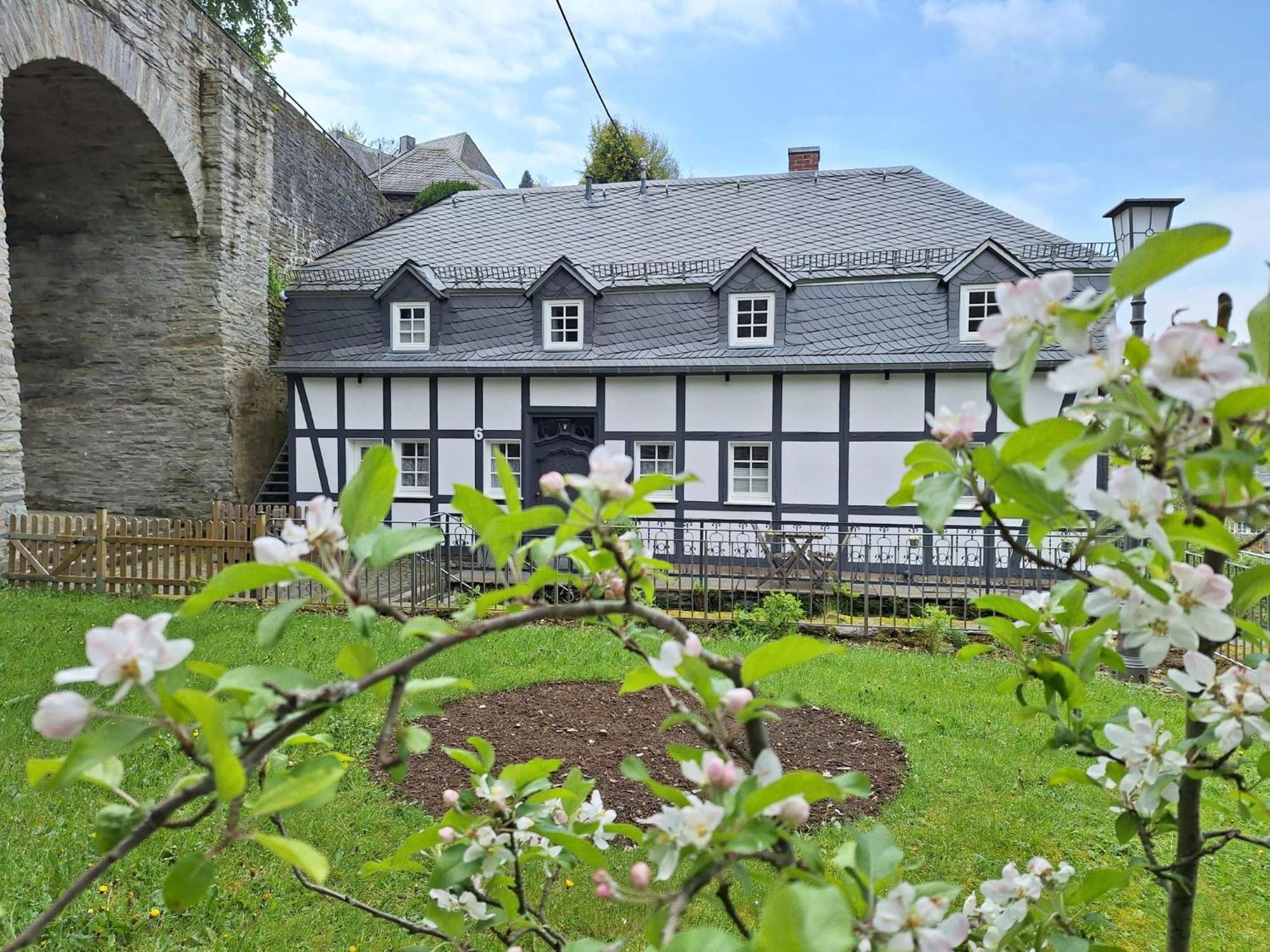 Stachelburg Apartment Моншау Екстериор снимка